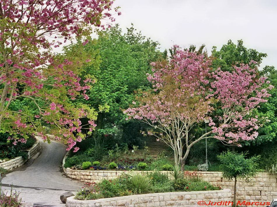 Gardens view