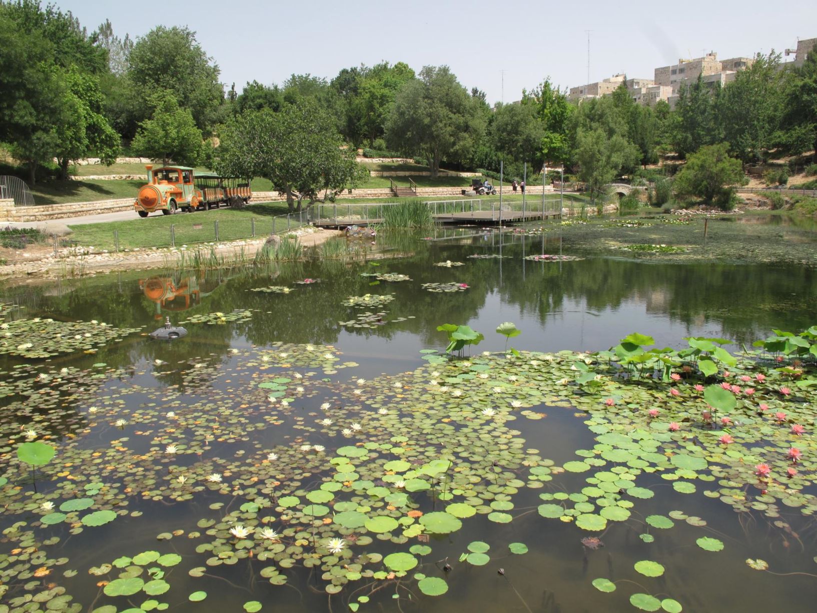 Gardens view