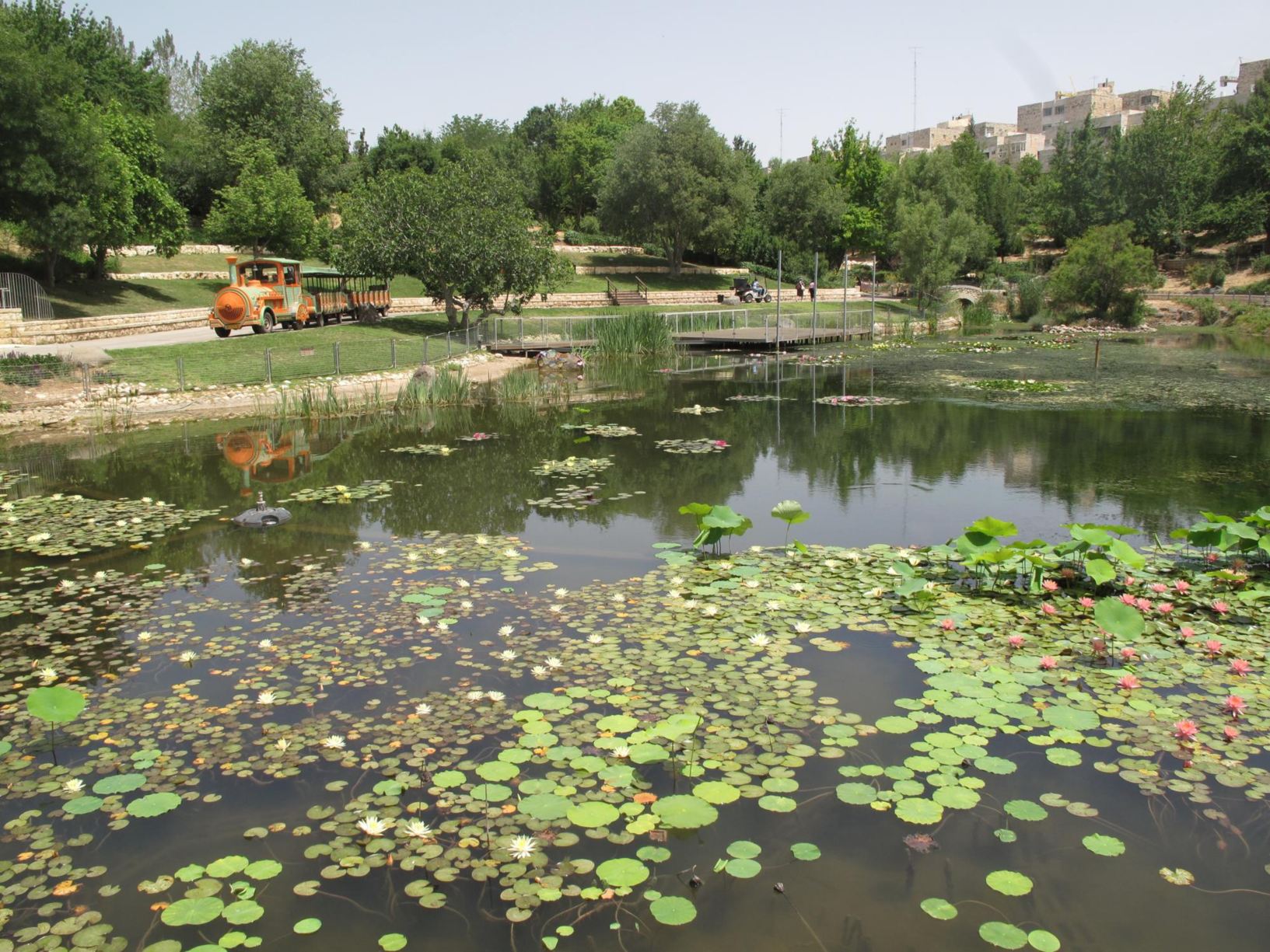 Gardens view
